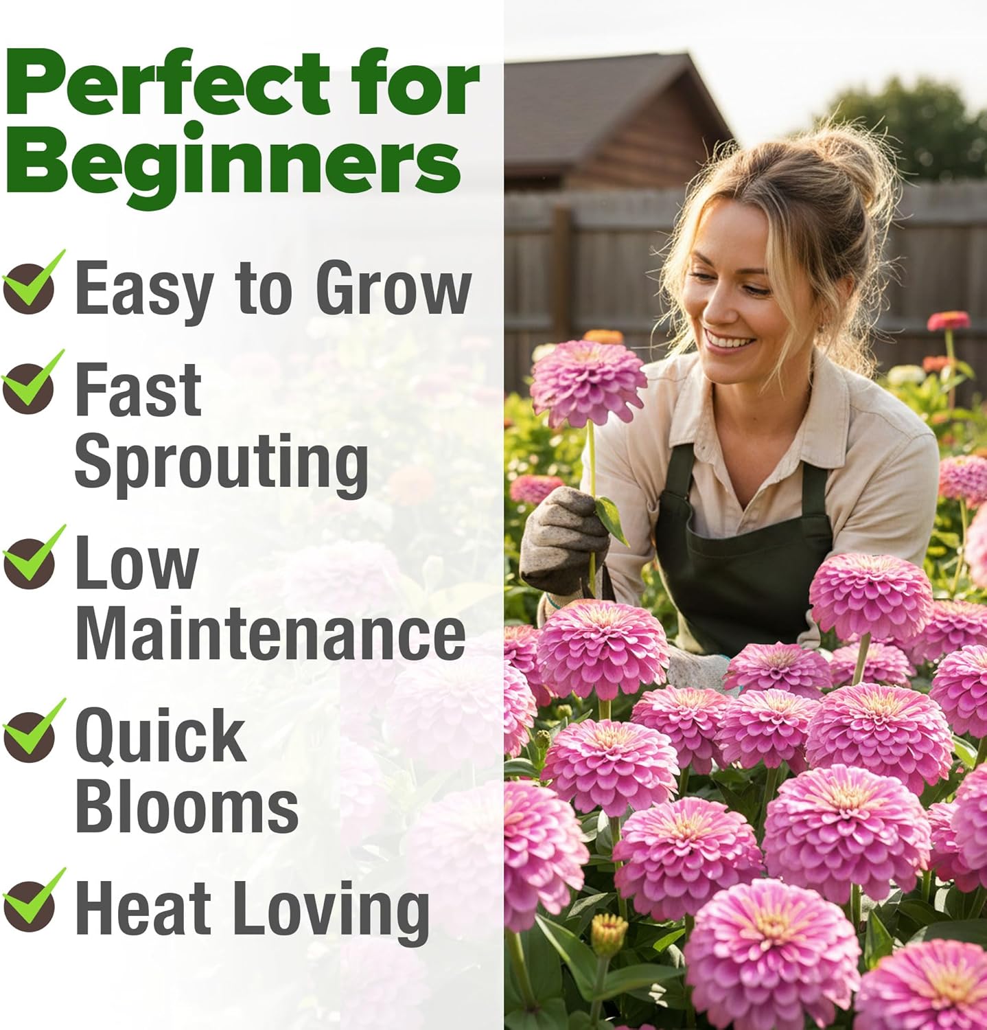 HOME GROWN Pink Zinnia Seeds – 300 Luminosa Zinnias 0.5g, Easy to Grow Annual Flower Seeds for Planting Outdoors for 2026, Fast Blooming, Heat Tolerant Herb Seed Garden Companion (Zinnia elegans)
